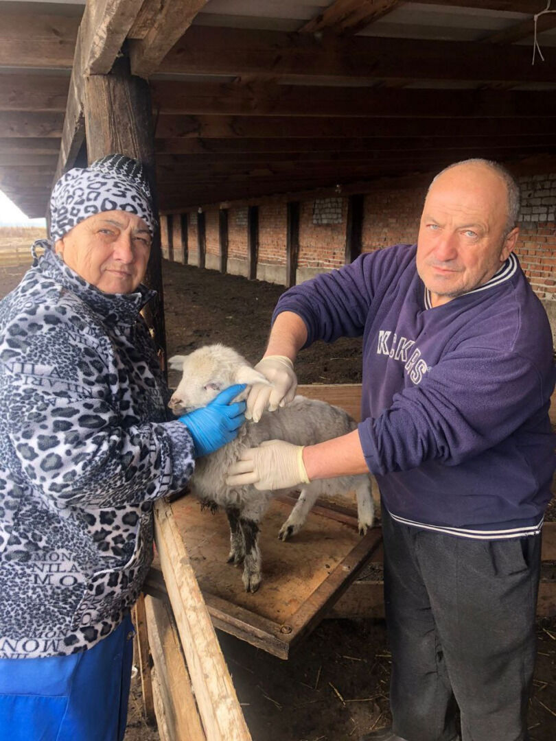 Вакцинация